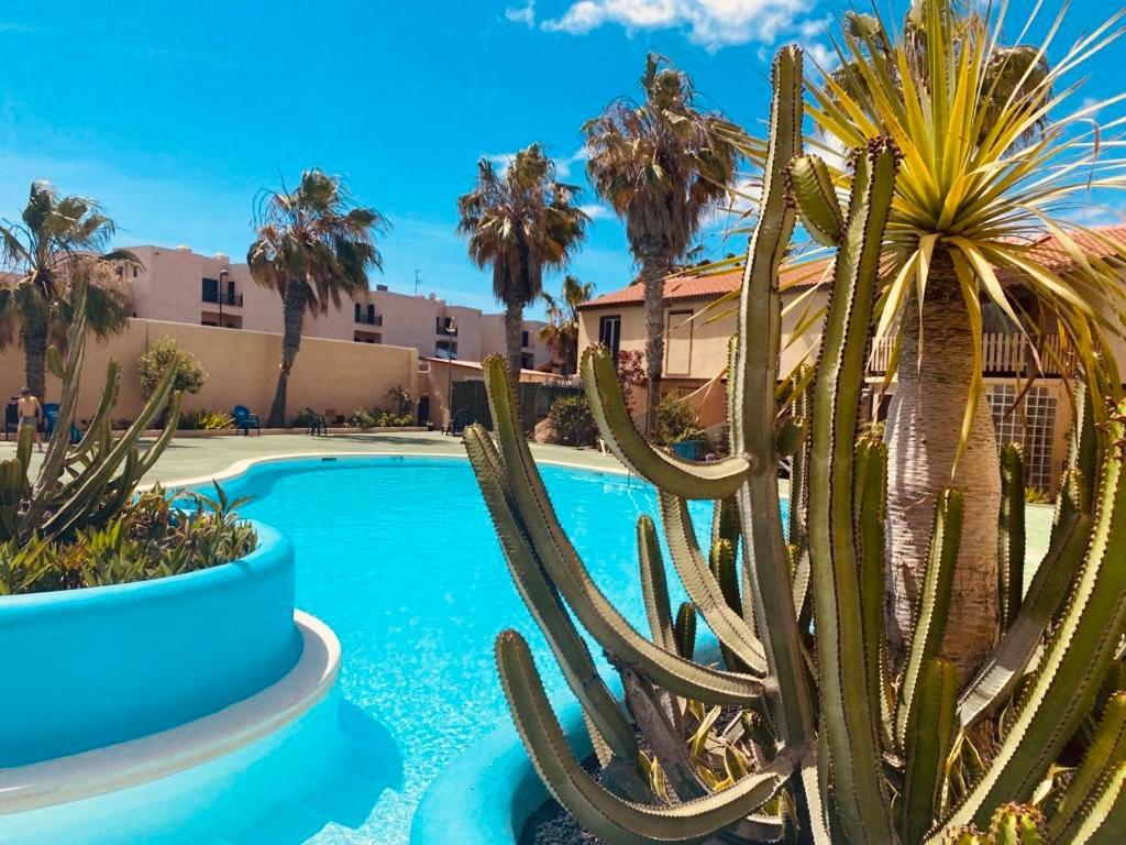 Апартаменты Surf And Chill Bungalow 70 Парке-Оландес Экстерьер фото